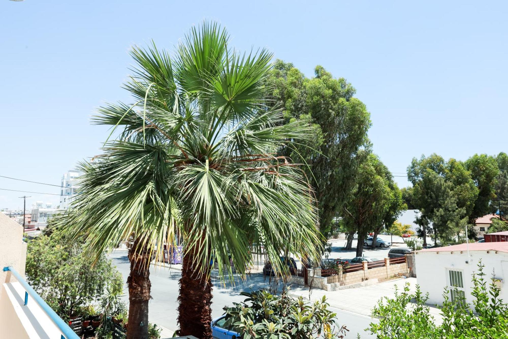 Mackenzie Apartment 101 Larnaca Exterior photo